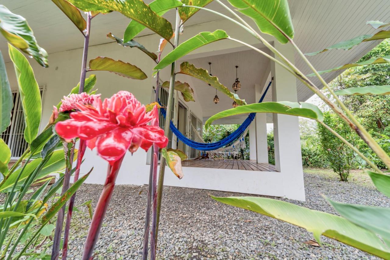 Willa Pineapple House Manzanillo Zewnętrze zdjęcie